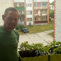 vippuika, 40