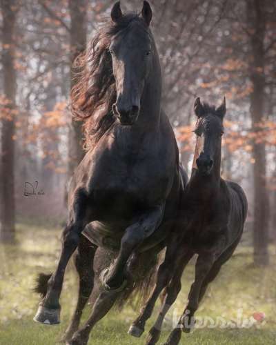 Познакомлюсь с стройной девушкой.