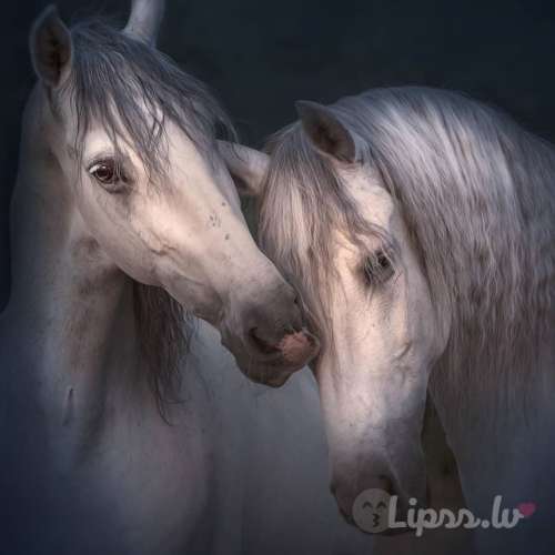 Познaкомлюсь с стройной молодой дeвyшкой.